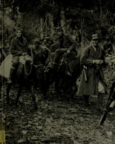 Cover of Partisans and Guerrillas (Time-Life's World War II, Vol. 12)