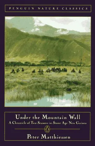 Cover of Under the Mountain Wall