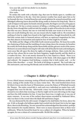 Cover of Newtons sleep
