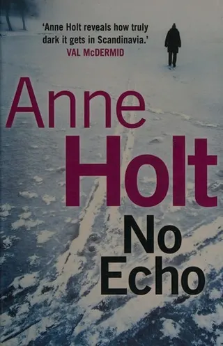 Cover of No Echo