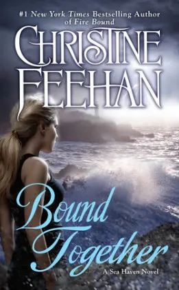 Cover of Bound Together