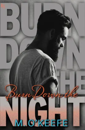 Cover of Burn Down the Night