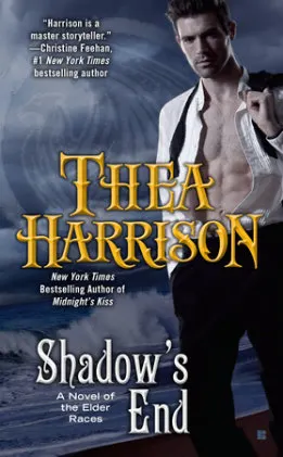 Cover of Shadow's End