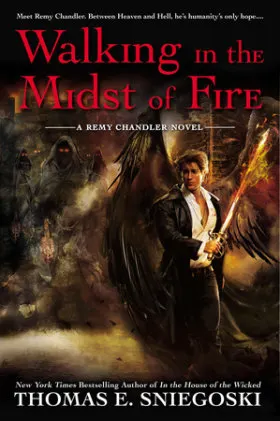 Cover of Walking in the Midst of Fire