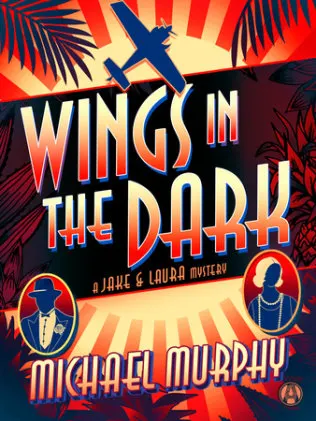 Cover of Wings in the Dark