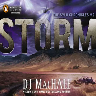 Cover of Storm