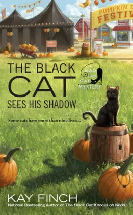 Cover of The Black Cat Sees His Shadow