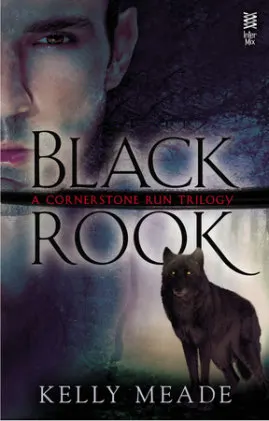 Cover of Black Rook