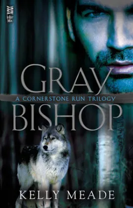Cover of Gray Bishop