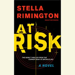 Cover of At Risk