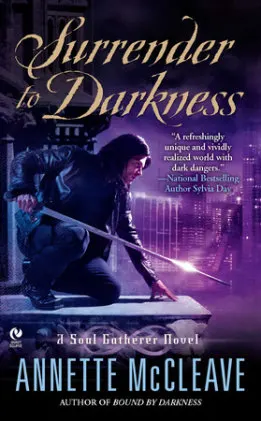 Cover of Surrender to Darkness