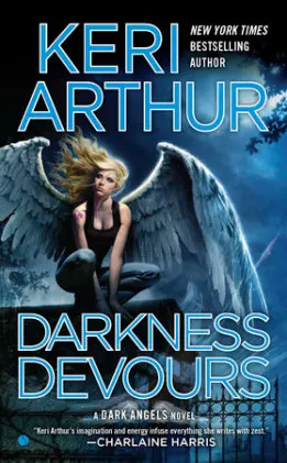 Cover of Darkness Devours