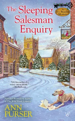 Cover of The Sleeping Salesman Enquiry