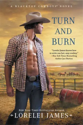 Cover of Turn and Burn