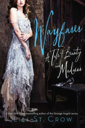 Cover of Wayfarer