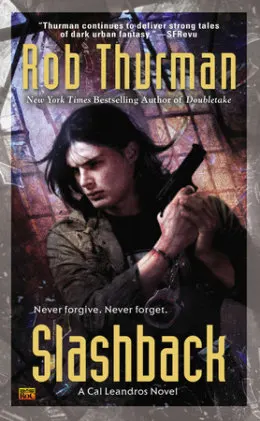 Cover of Slashback