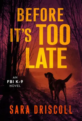 Cover of Before It's Too Late