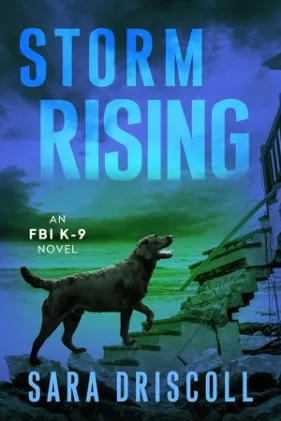 Cover of Storm Rising