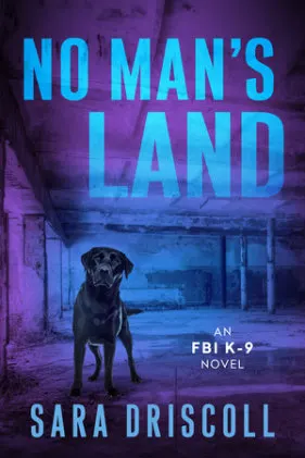 Cover of No Man's Land
