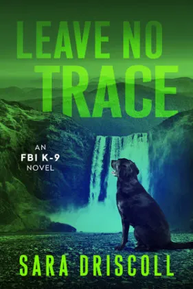 Cover of Leave No Trace