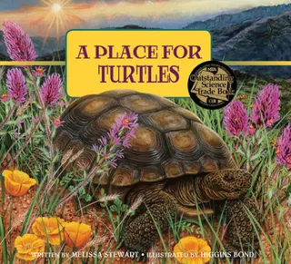 Cover of A Place for Turtles