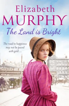 Cover of The Land is Bright