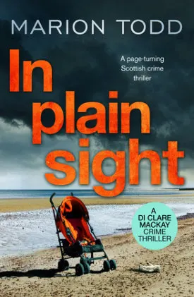 Cover of In Plain Sight