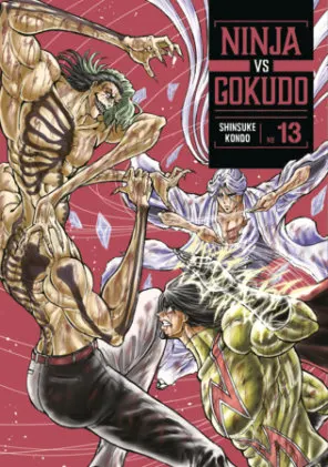 Cover of Ninja Vs. Gokudo 13