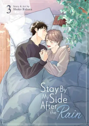 Cover of Stay By My Side After the Rain Vol. 3
