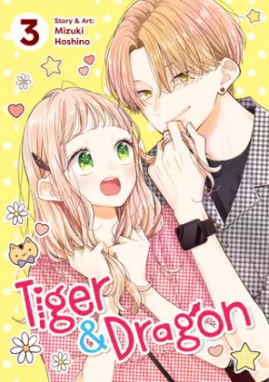Cover of Tiger and Dragon Vol. 3