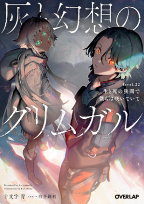 Cover of Grimgar of Fantasy and Ash (Light Novel) Vol. 22