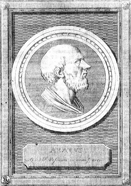 Photo of Aratus Solensis