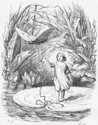 Cover of Tommelise