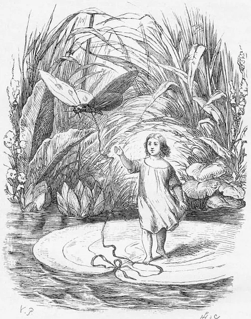 Cover of Tommelise