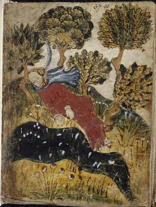 Cover of Perle