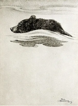 Cover of The Baby and the Bear