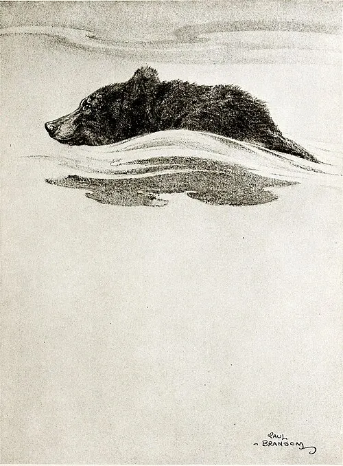 Cover of The Baby and the Bear