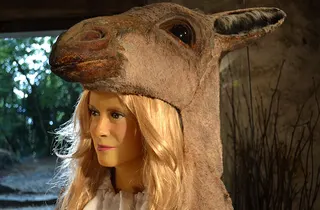 Cover of Donkeyskin