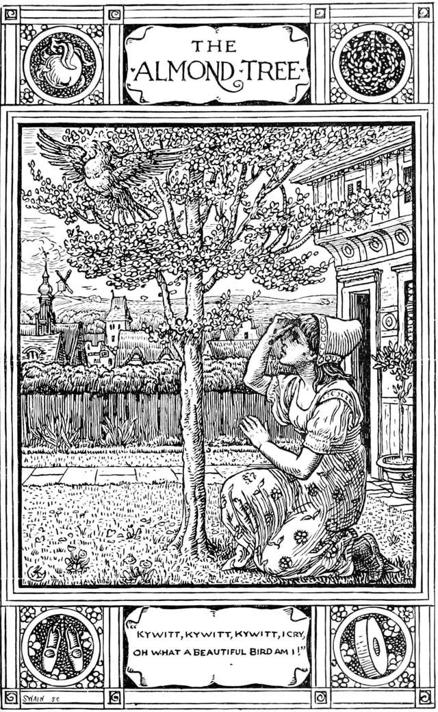 Cover of Vom Machandelbaum