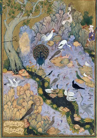 Cover of The Conference of the Birds