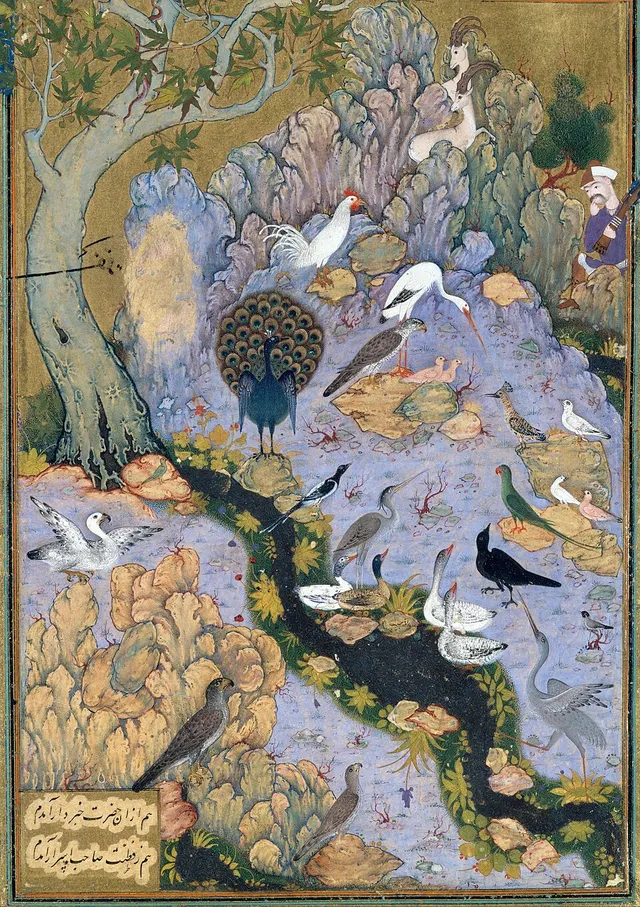 Cover of The Conference of the Birds