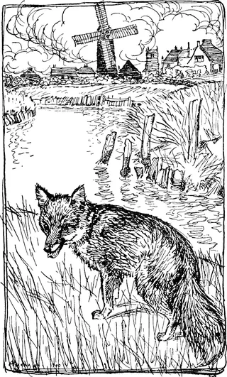 Cover of The Wedding of Mrs. Fox