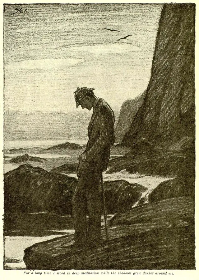 Cover of The adventure of the lion's mane