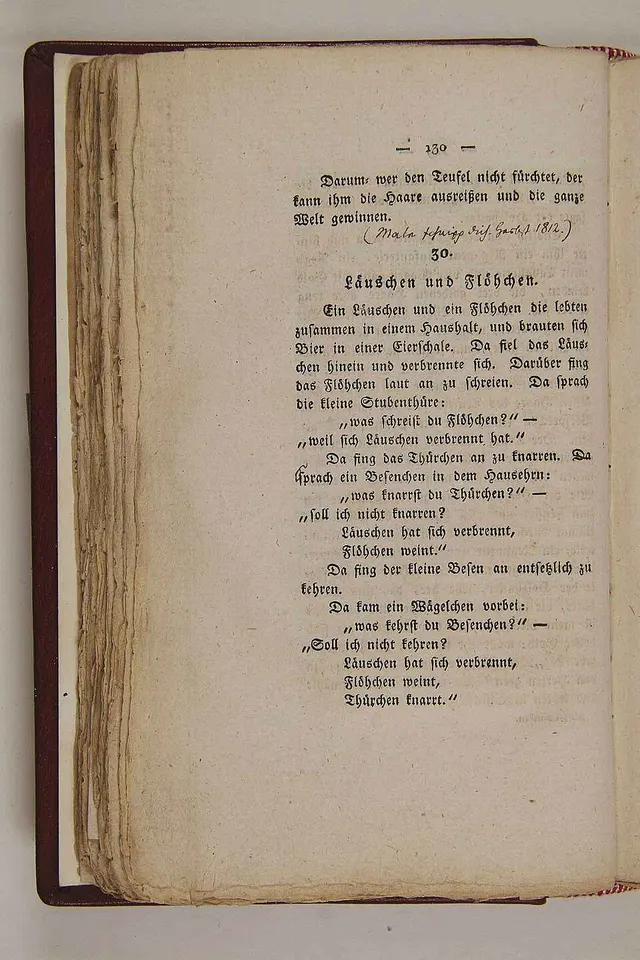 Cover of The Louse and the Flea