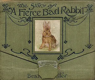 Cover of The Story of a Fierce Bad Rabbit