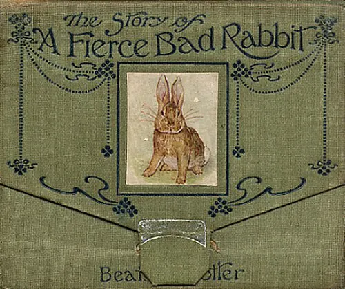 Cover of The Story of a Fierce Bad Rabbit