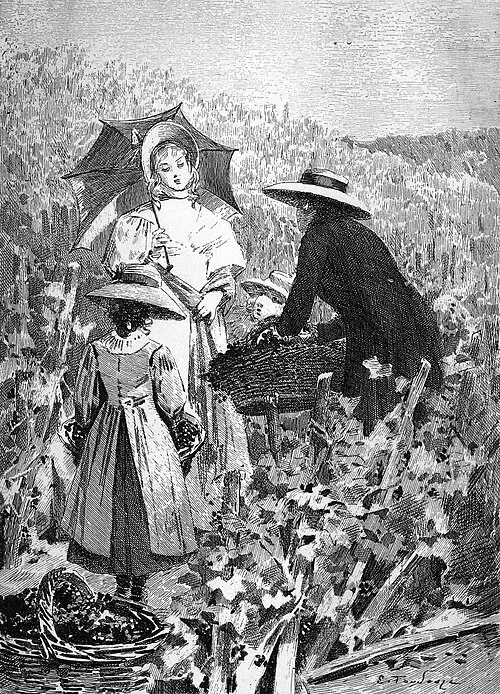 Cover of Le Lys dans la vallée