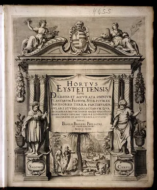 Cover of Hortus Eystettensis