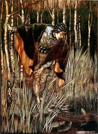Cover of The White Snake
