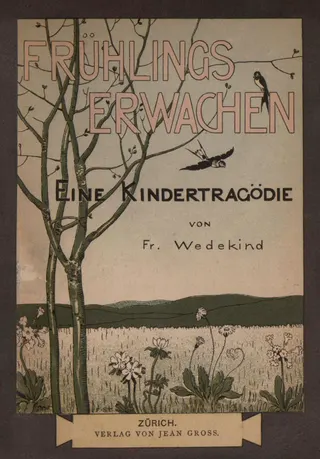Cover of Spring Awakening